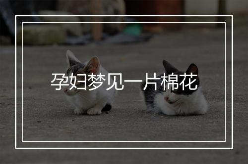 孕妇梦见一片棉花