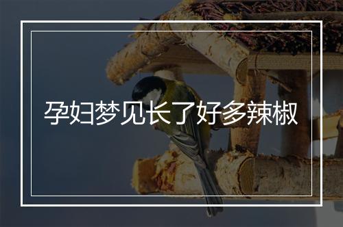 孕妇梦见长了好多辣椒