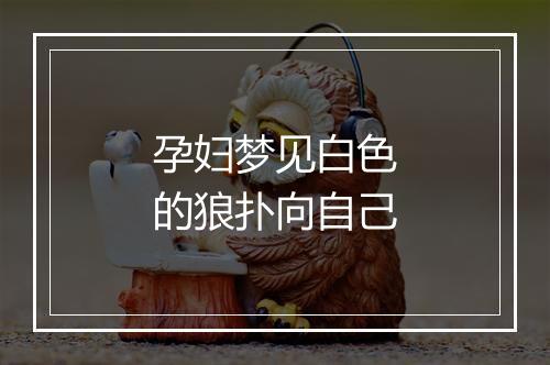 孕妇梦见白色的狼扑向自己