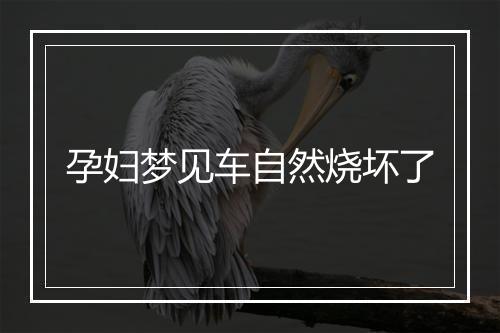 孕妇梦见车自然烧坏了