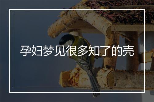 孕妇梦见很多知了的壳