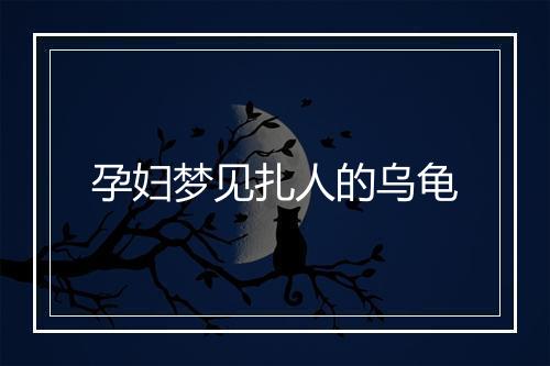 孕妇梦见扎人的乌龟