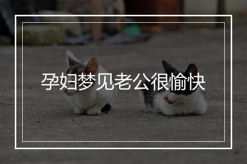 孕妇梦见老公很愉快