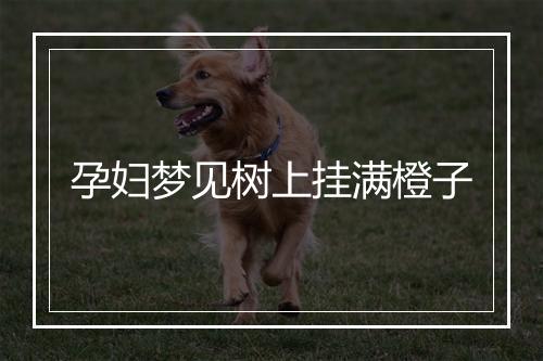 孕妇梦见树上挂满橙子