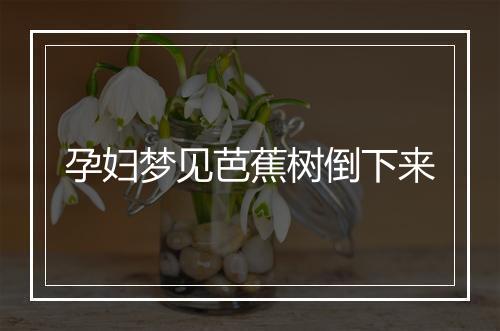 孕妇梦见芭蕉树倒下来