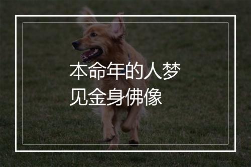 本命年的人梦见金身佛像