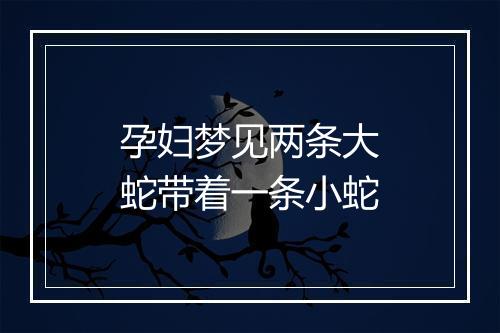 孕妇梦见两条大蛇带着一条小蛇