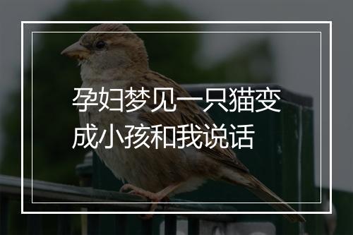 孕妇梦见一只猫变成小孩和我说话