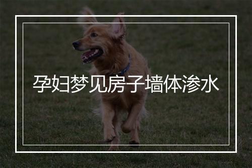 孕妇梦见房子墙体渗水