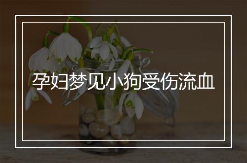 孕妇梦见小狗受伤流血