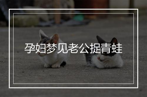 孕妇梦见老公捉青蛙