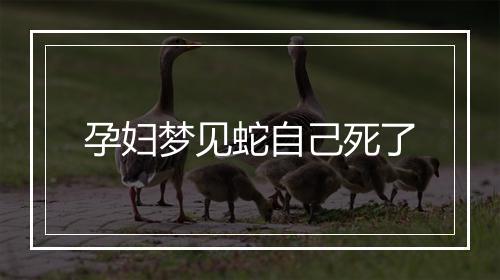 孕妇梦见蛇自己死了