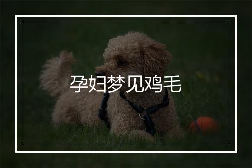 孕妇梦见鸡毛