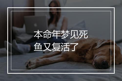 本命年梦见死鱼又复活了