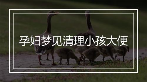 孕妇梦见清理小孩大便