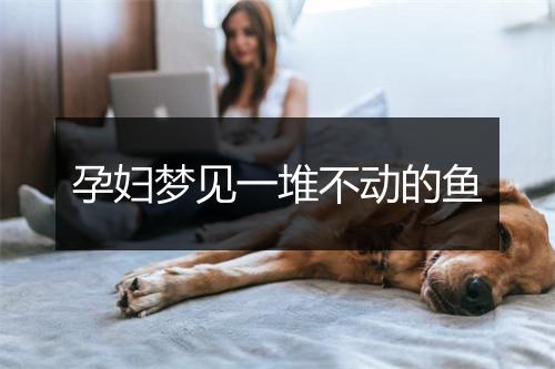 孕妇梦见一堆不动的鱼