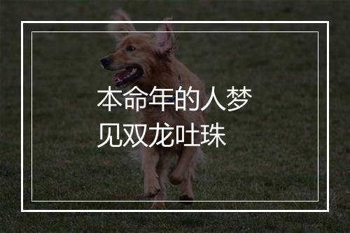 本命年的人梦见双龙吐珠