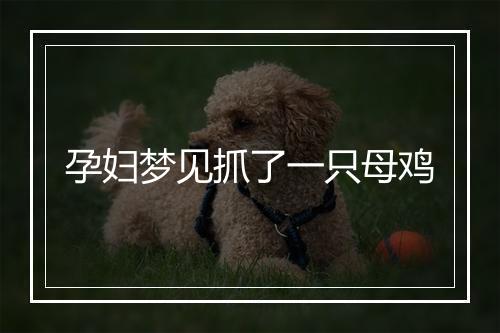 孕妇梦见抓了一只母鸡