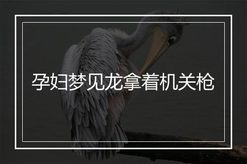 孕妇梦见龙拿着机关枪