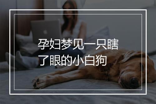 孕妇梦见一只瞎了眼的小白狗