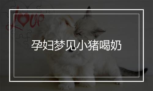 孕妇梦见小猪喝奶