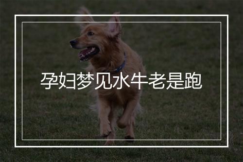 孕妇梦见水牛老是跑