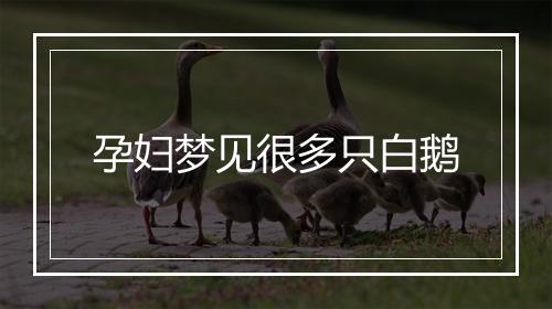 孕妇梦见很多只白鹅