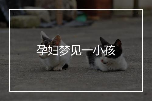 孕妇梦见一小孩