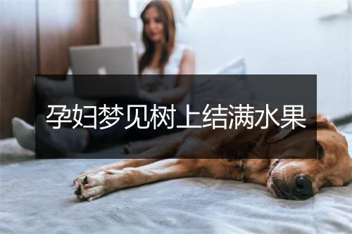 孕妇梦见树上结满水果