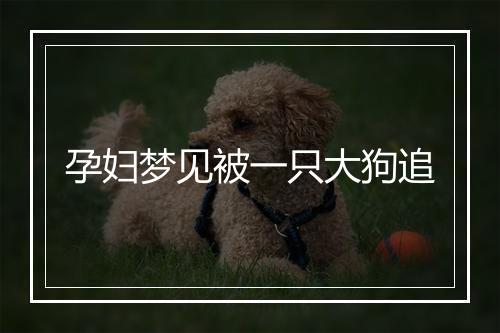 孕妇梦见被一只大狗追