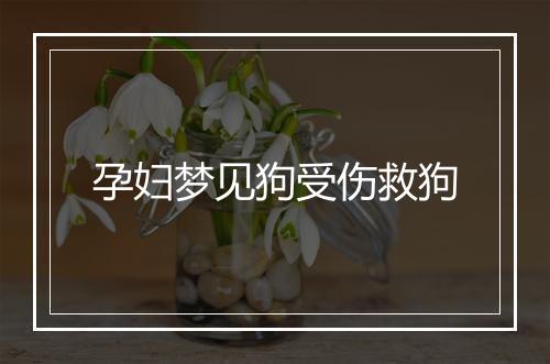 孕妇梦见狗受伤救狗