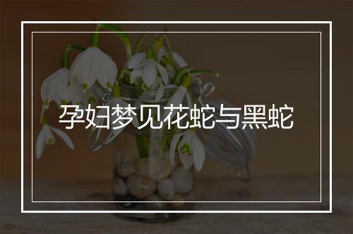 孕妇梦见花蛇与黑蛇