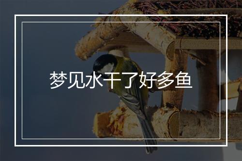 梦见水干了好多鱼