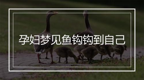 孕妇梦见鱼钩钩到自己