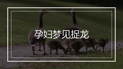 孕妇梦见捉龙