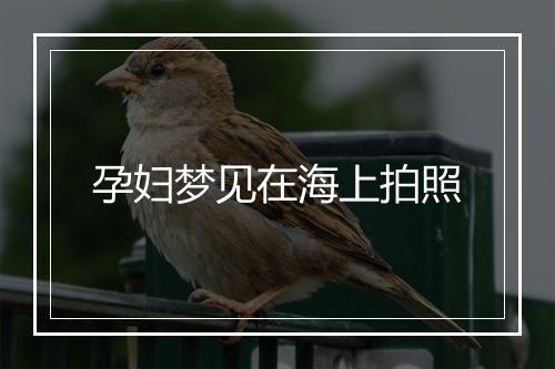 孕妇梦见在海上拍照