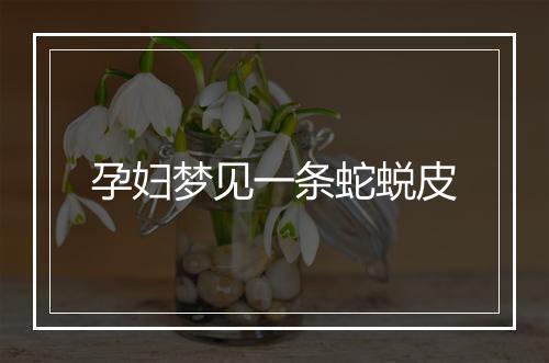 孕妇梦见一条蛇蜕皮