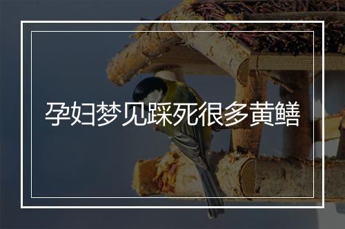 孕妇梦见踩死很多黄鳝