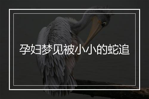 孕妇梦见被小小的蛇追