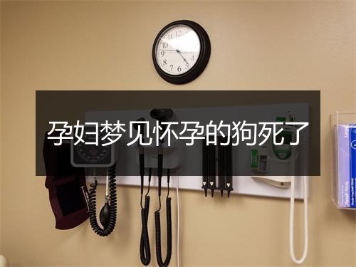 孕妇梦见怀孕的狗死了