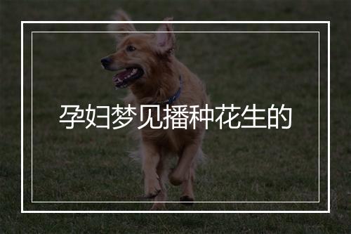 孕妇梦见播种花生的