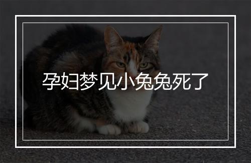 孕妇梦见小兔兔死了