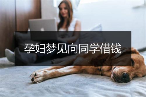 孕妇梦见向同学借钱