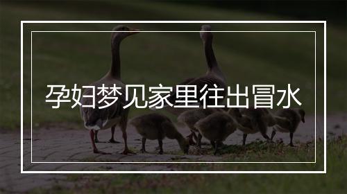 孕妇梦见家里往出冒水