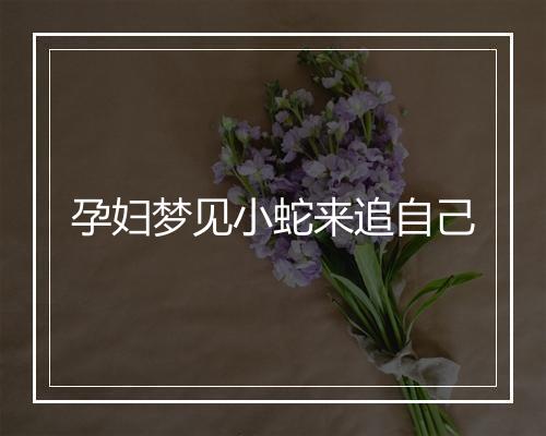 孕妇梦见小蛇来追自己