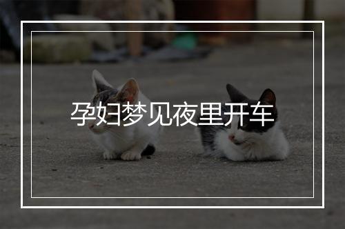 孕妇梦见夜里开车