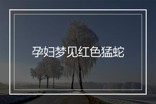 孕妇梦见红色猛蛇