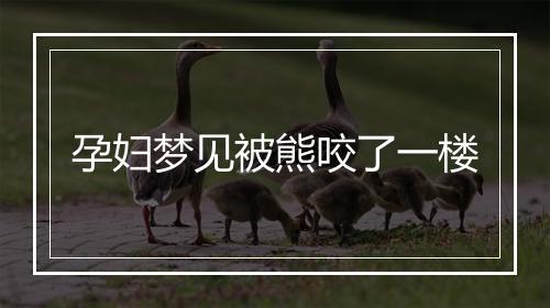 孕妇梦见被熊咬了一楼