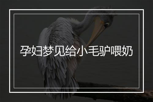 孕妇梦见给小毛驴喂奶