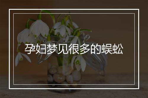 孕妇梦见很多的蜈蚣